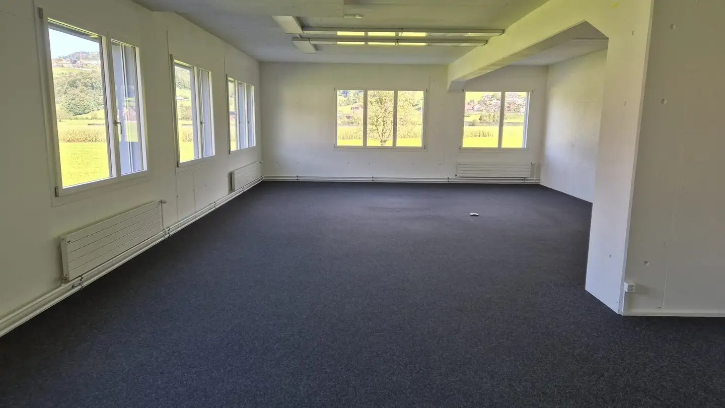 Commercial for rent - Frauholzstrasse 40, 6422 Steinen - Photo 4