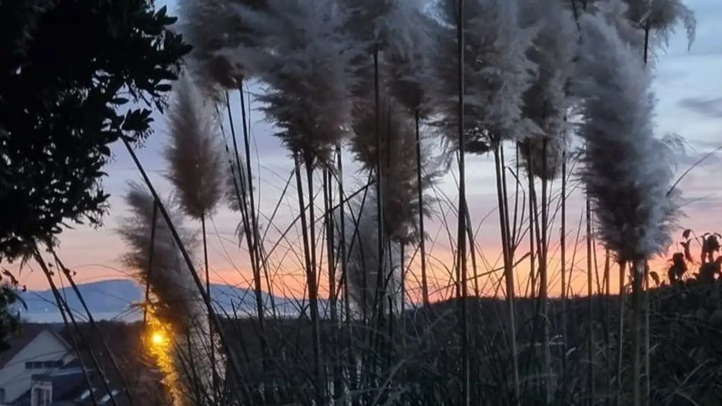 Einfamilienhaus mieten - 1268 Begnins