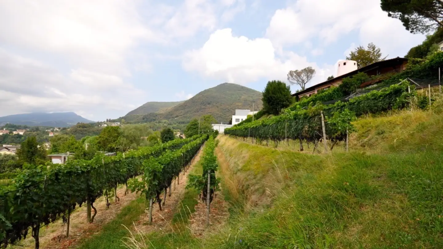 Constructible plot for sale - 6835 Morbio Superiore - Photo 4