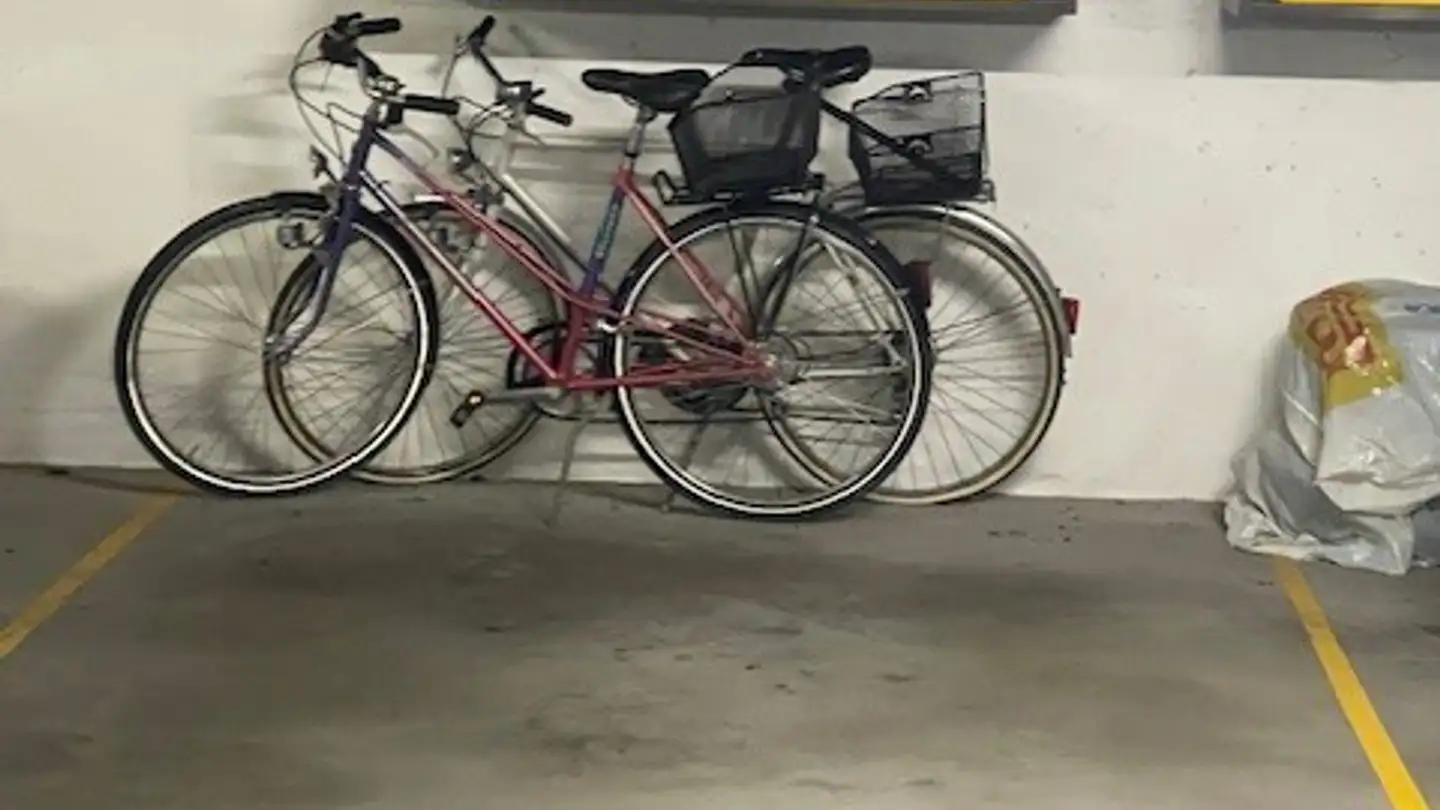 Einzelgarage mieten - Rudolf-Hägi-Strasse 21, 8052 Zürich