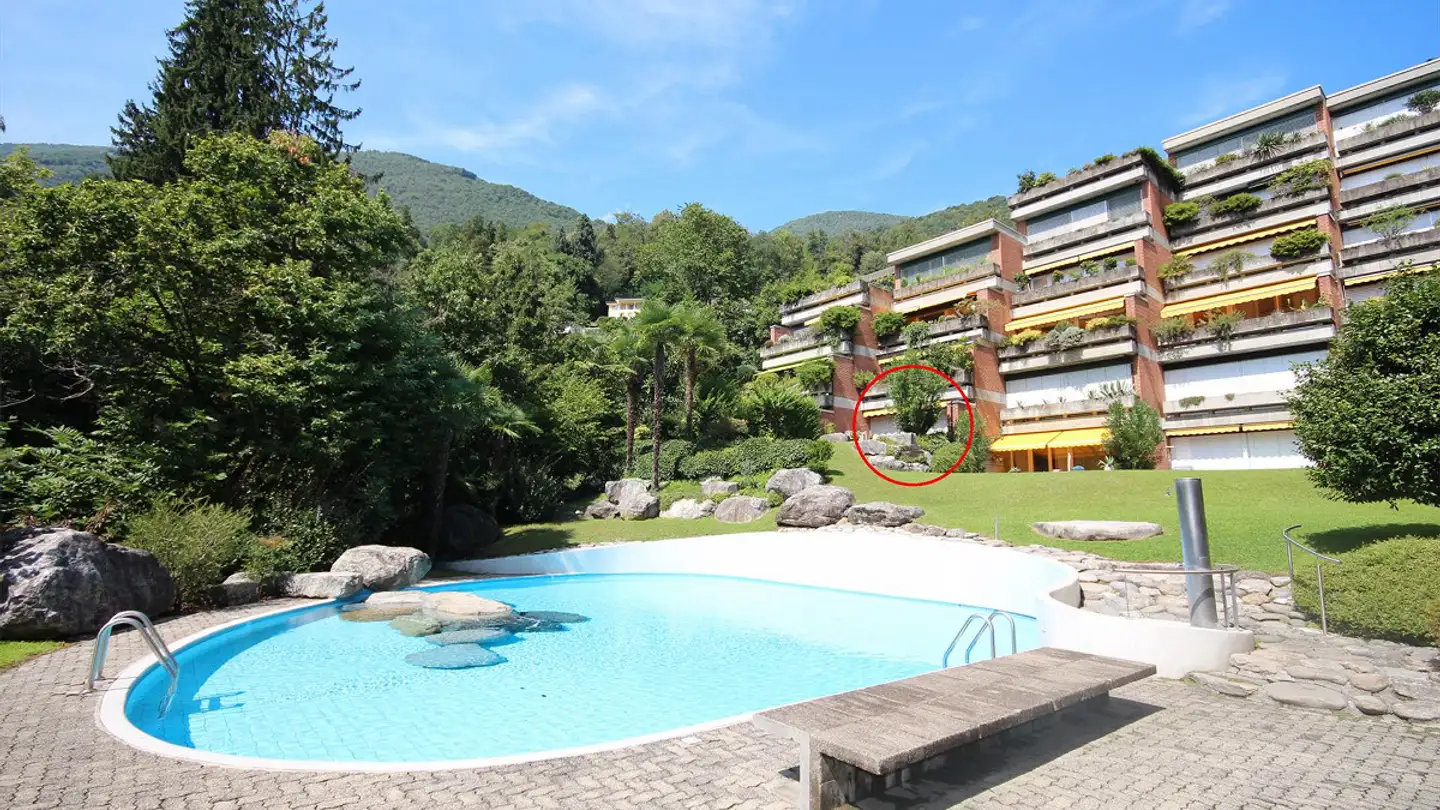 Studio in vendita - Vicolo Della Pergola 12, 6648 Minusio - Photo 2