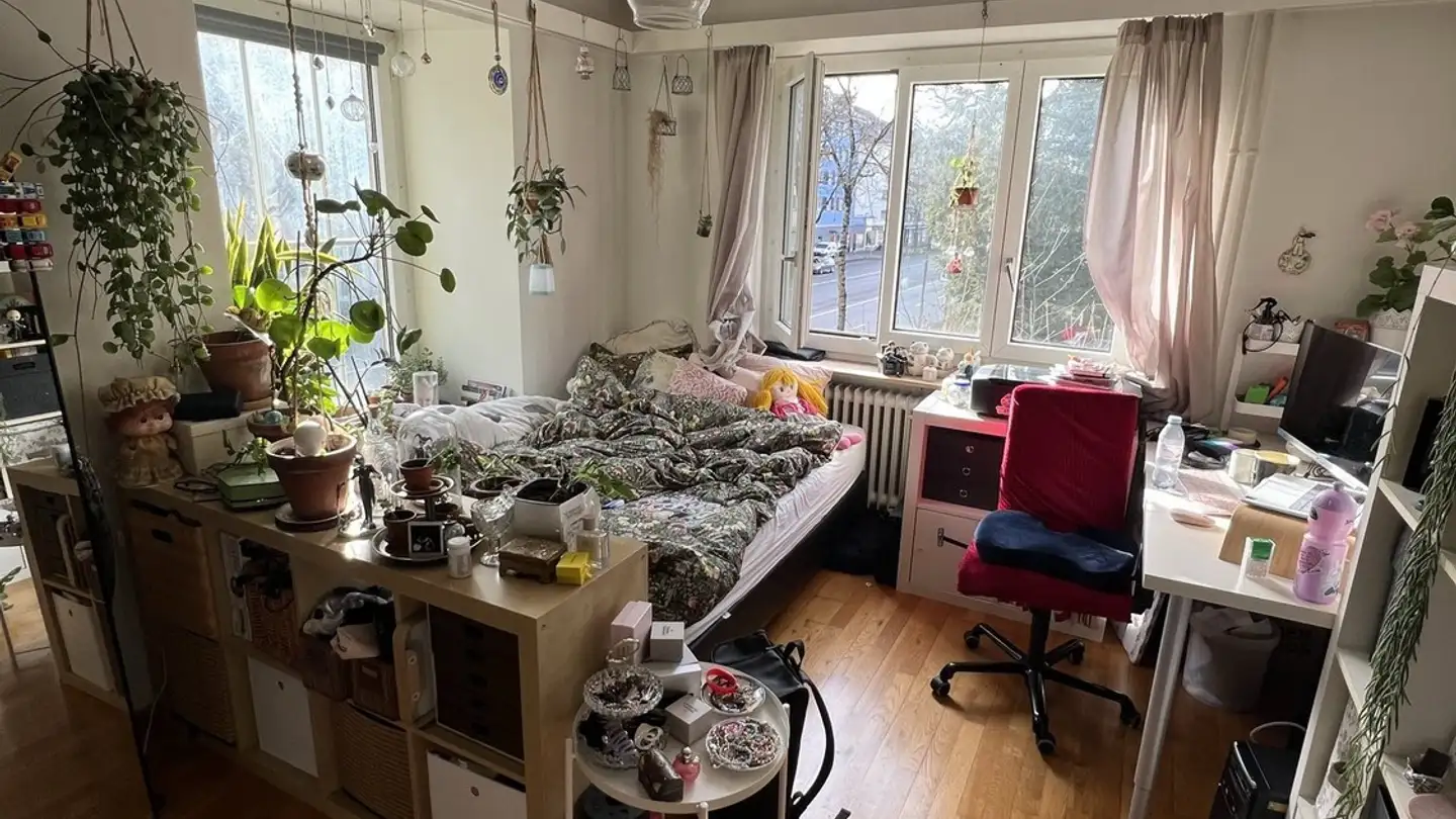 Stanza singola in affitto - 3006 Bern