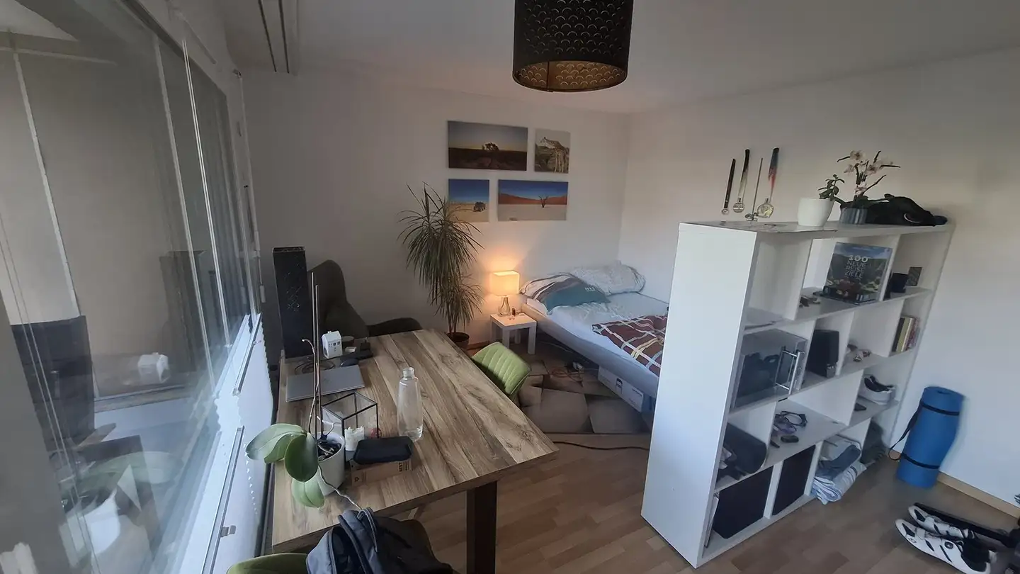 Appartamento in affitto - Gumpisbüelstrasse 60, 8600 Dübendorf