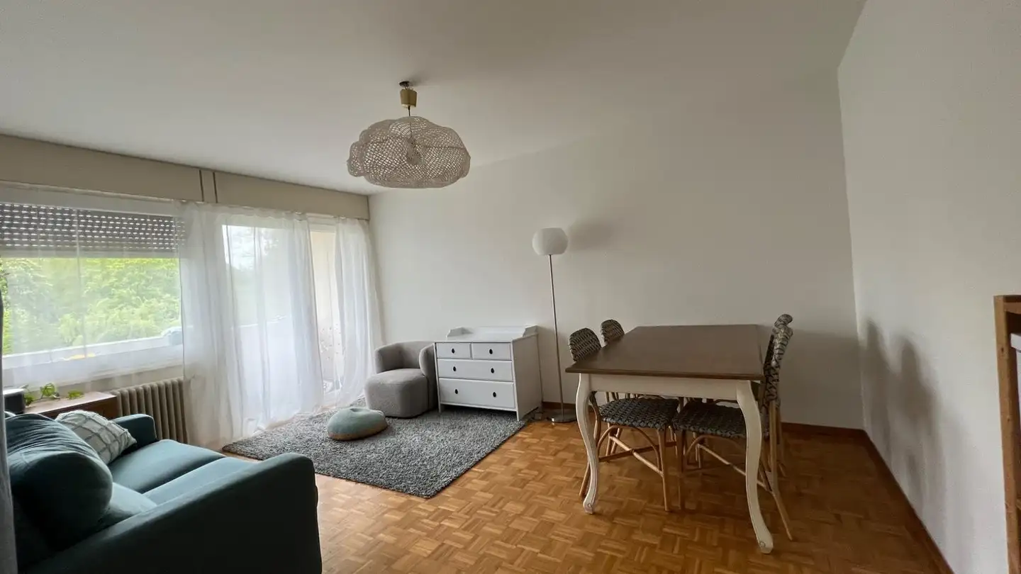 Appartement à louer - Chemin De Sous-Bois, 1212 Grand-Lancy - Photo 3
