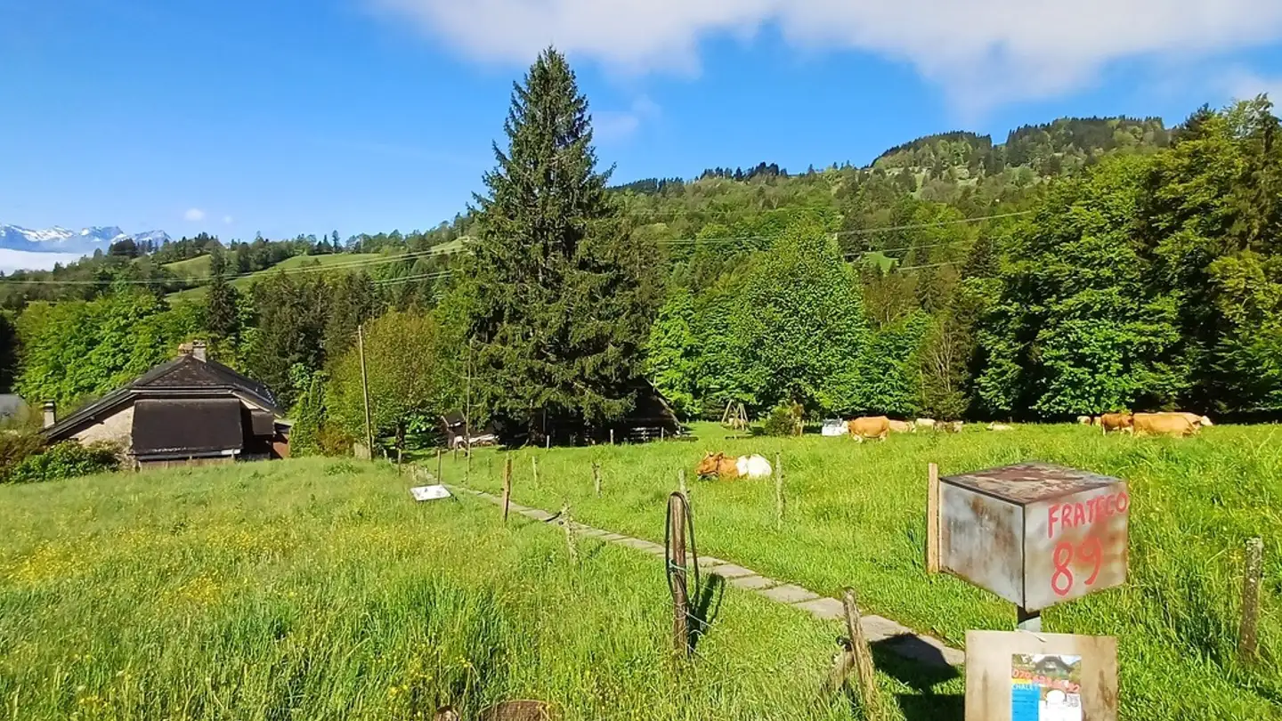 Chalet in vendita - 1832 Chamby - Photo 3