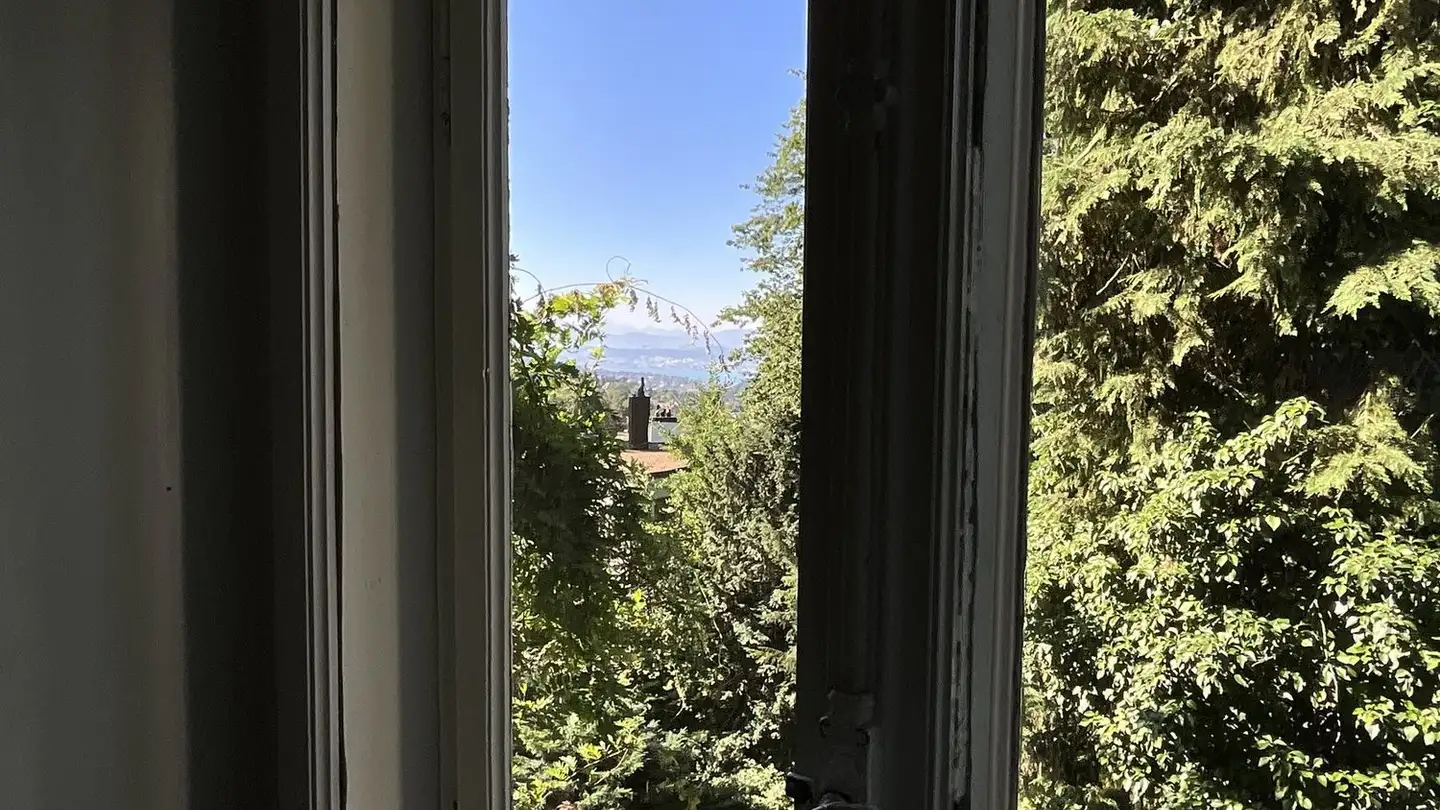 Single room for rent - Susenbergstrasse 75, 8044 Zürich - Photo 3