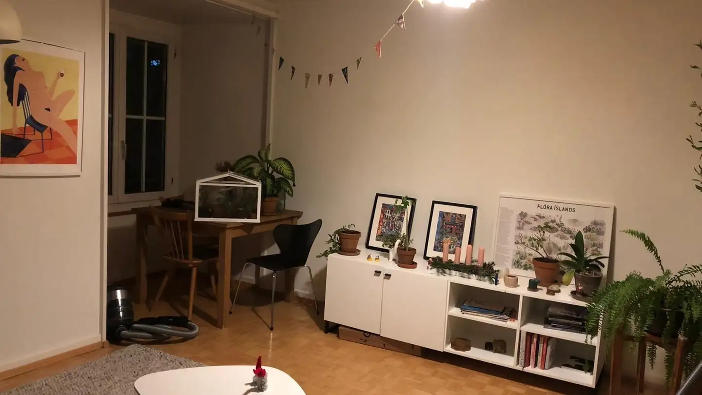 Appartement à louer - Brahmsstrasse 77, 8003 Zürich