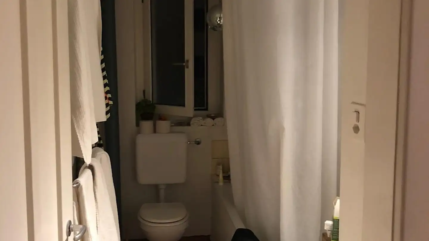 Appartement à louer - Brahmsstrasse 77, 8003 Zürich - Photo 4