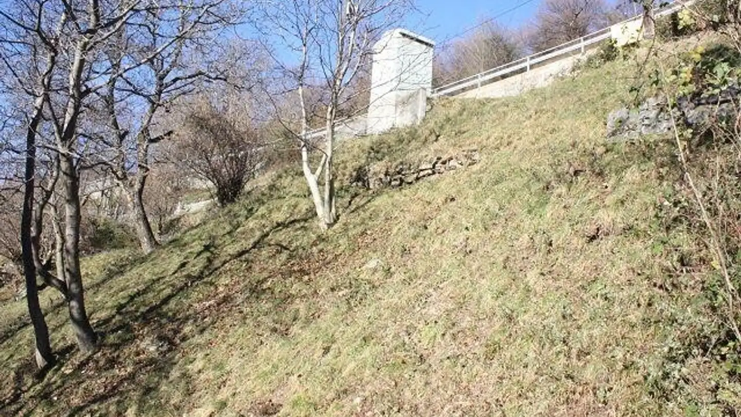 Constructible plot for sale - 6748 Anzonico - Photo 4