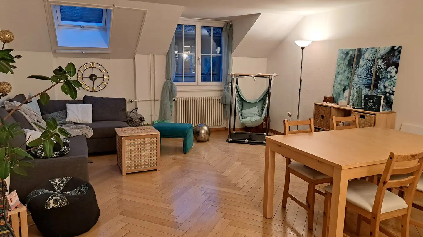 Möblierte Wohnung mieten - 3011 Bern