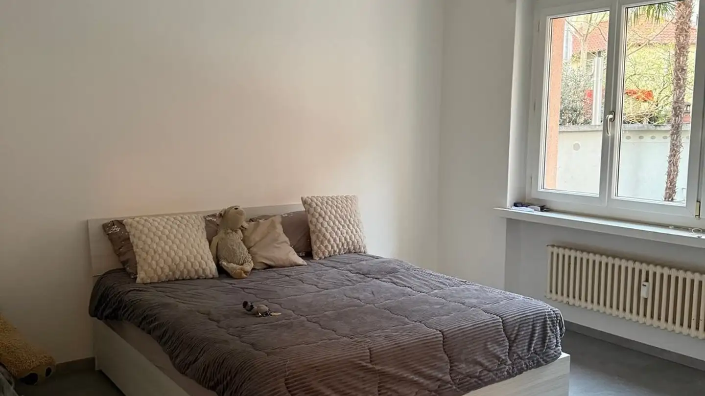 Wohnung mieten - Contrada Maggiore 3, 6600 Solduno
