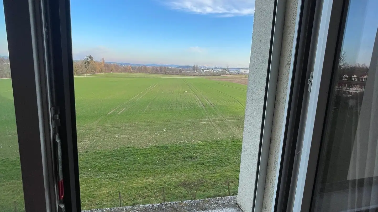 Wohnung mieten - Im Winkel, 8162 Steinmaur