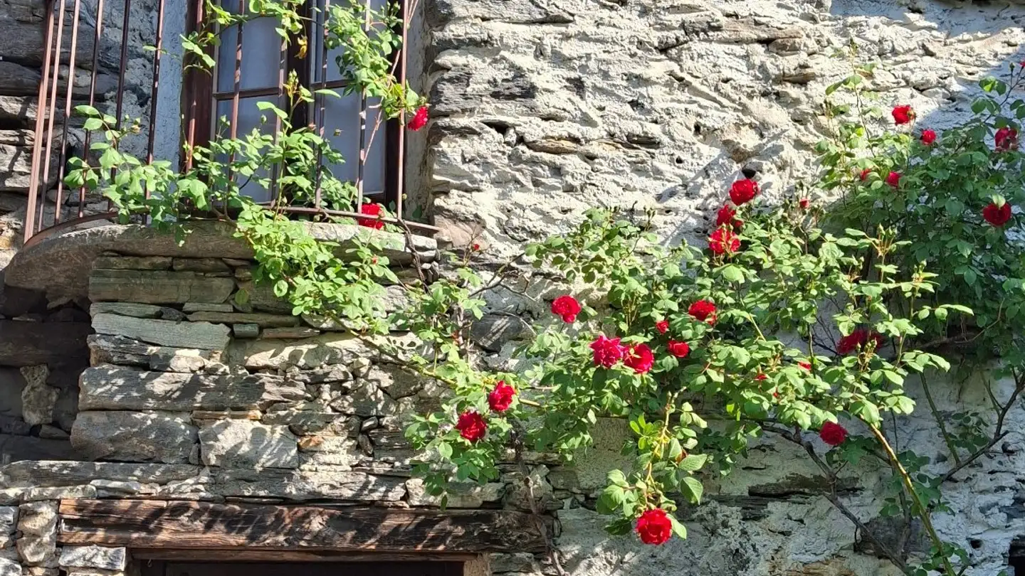 Single house for rent - A Sant'Antòni 20, 6672 Gordevio