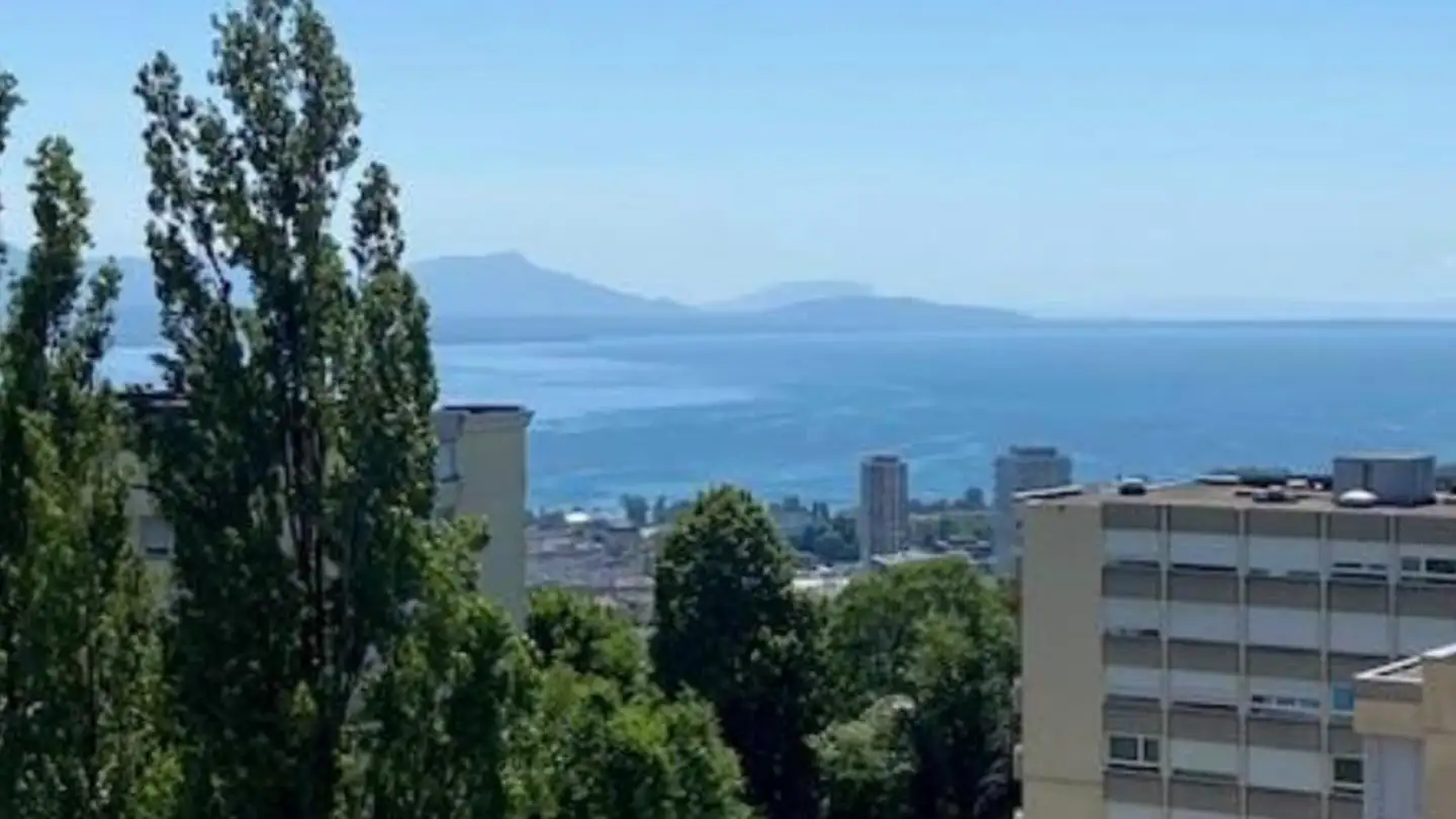Appartamento in affitto - Chemin Guillaume-De-Pierrefleur 13, 1004 Lausanne
