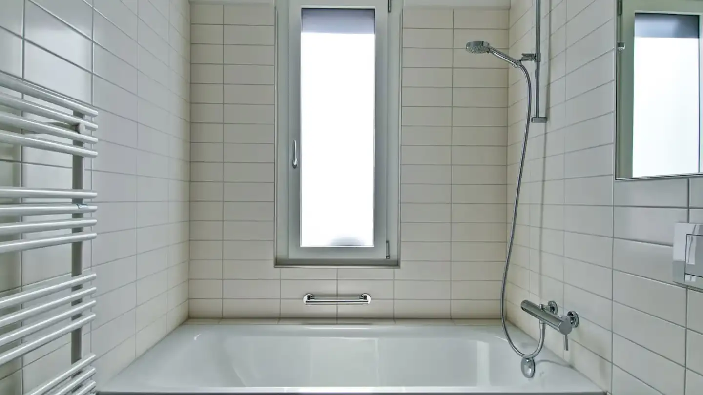 Appartamento in affitto - Albisriederstrasse 349, 8047 Zürich