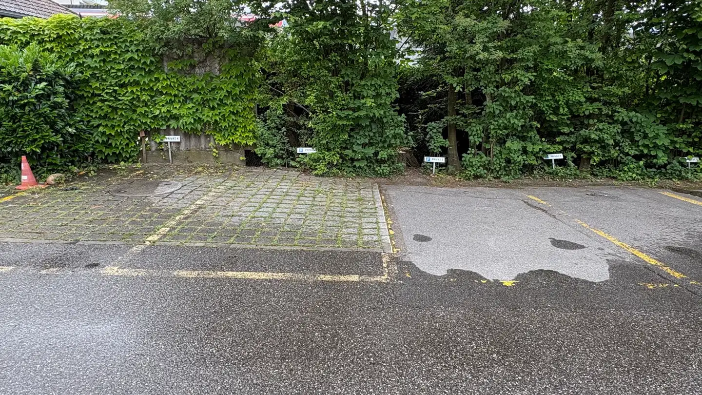Apartment for rent - Dammweg, 3073 Gümligen - Photo 4