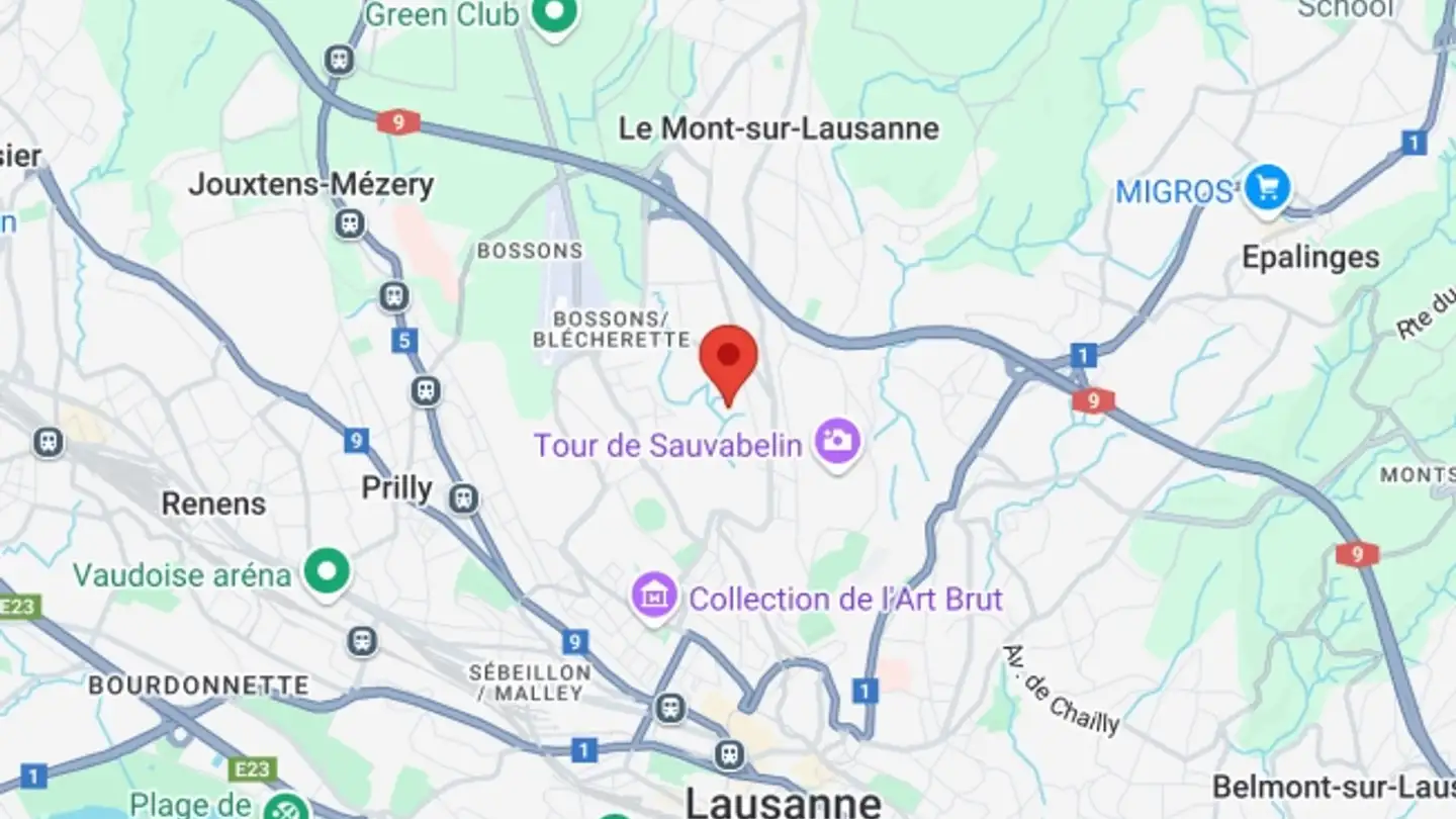 Spazio ufficio in affitto - Chemin D'entre-Bois 29, 1018 Lausanne - Foto 4