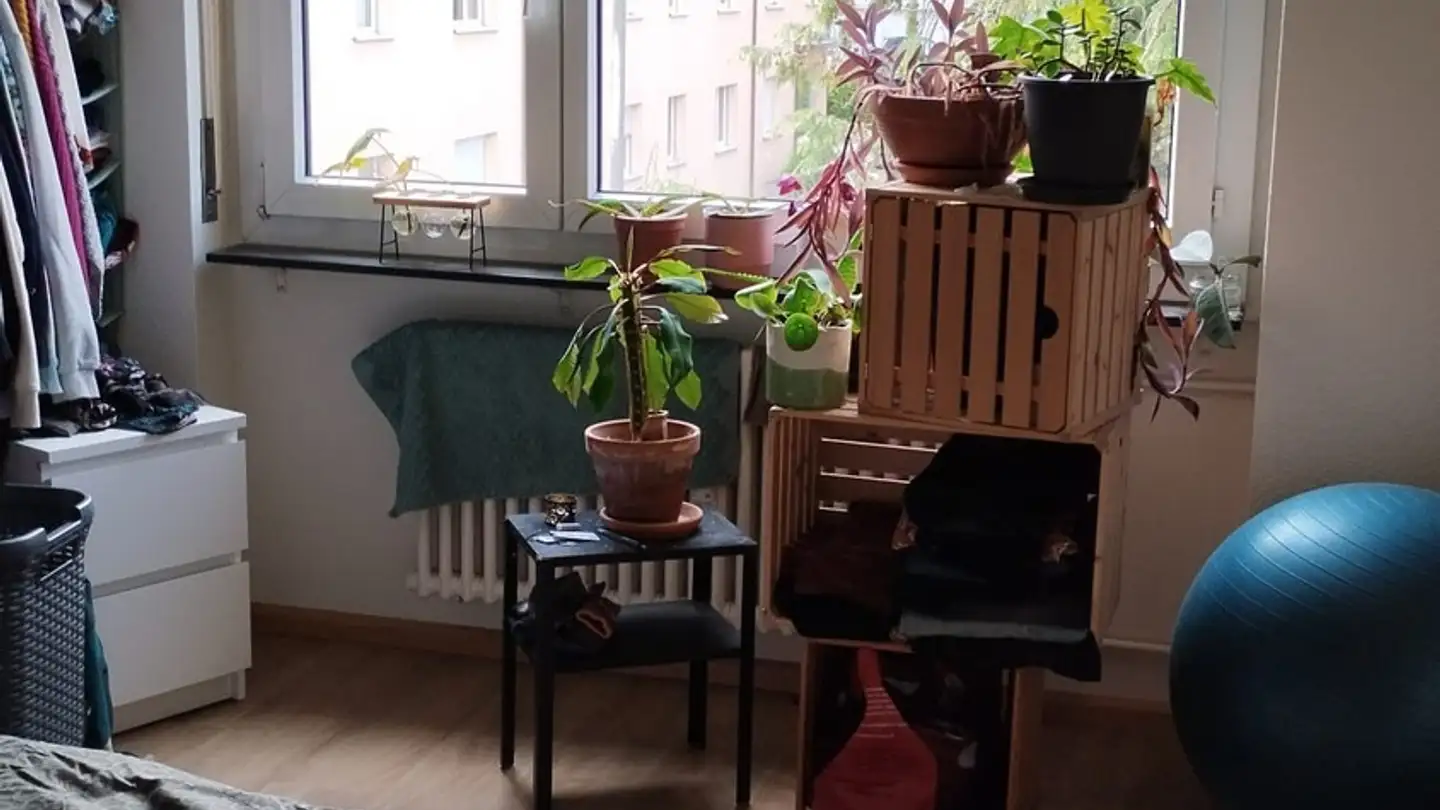 Wohnung mieten - Schafmattweg 25, 4102 Binningen - Foto 4