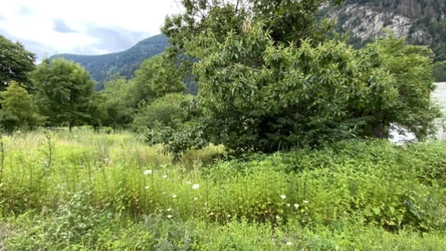 Terreno edificabile in vendita - 6760 Faido - Photo 3