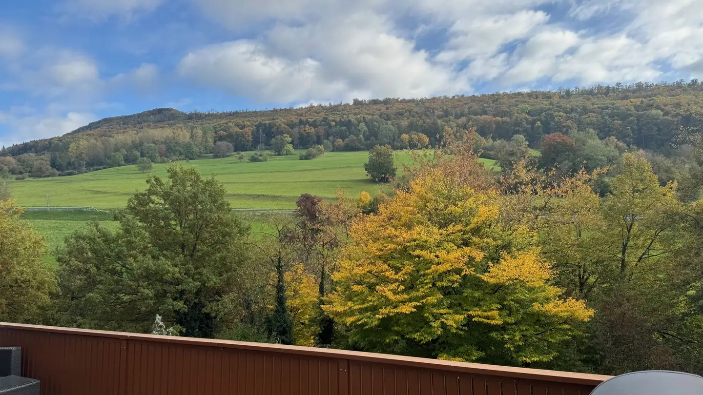 Single house for rent - Schlierenstrasse 56, 5408 Ennetbaden