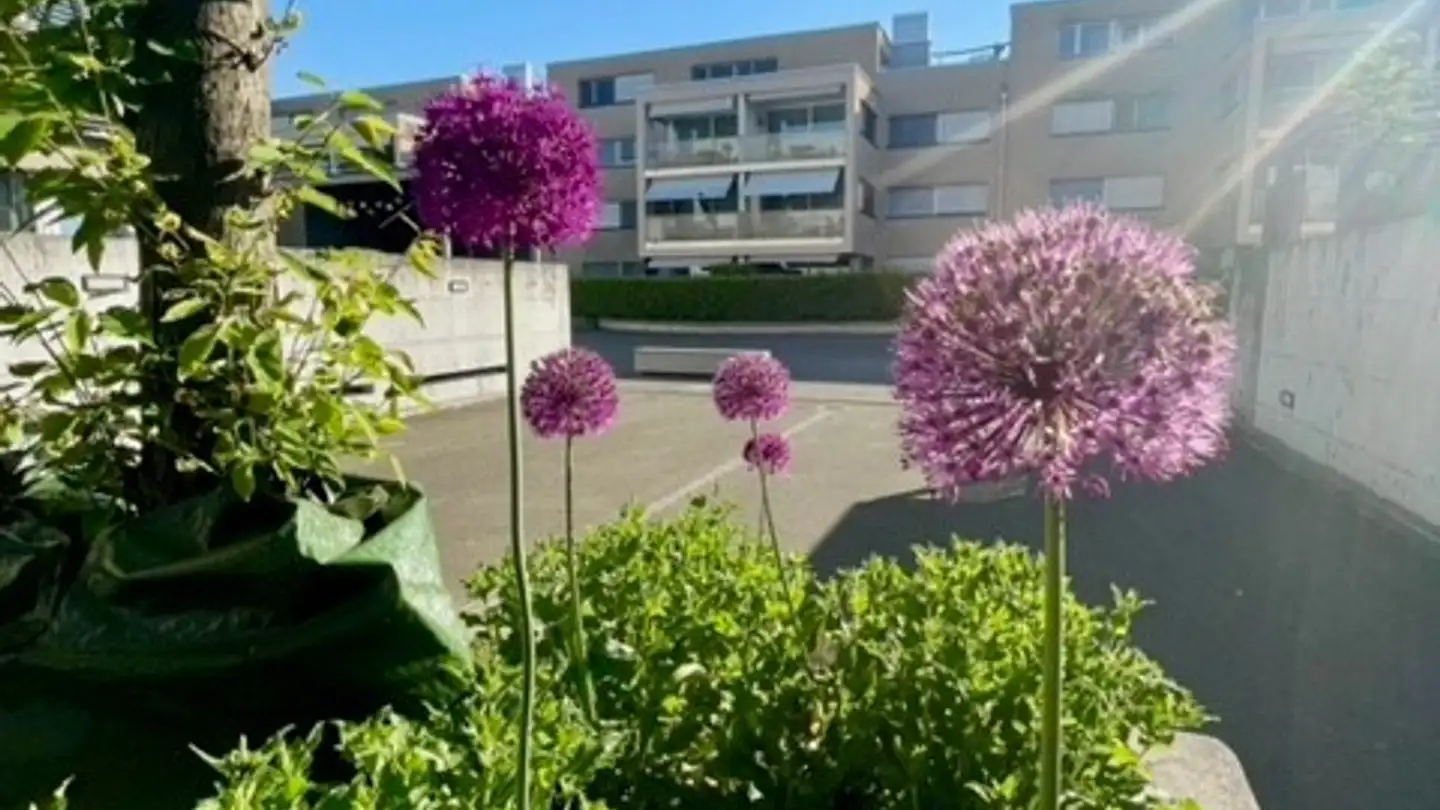 Apartment for rent - Rösslimattweg 157, 5033 Buchs AG