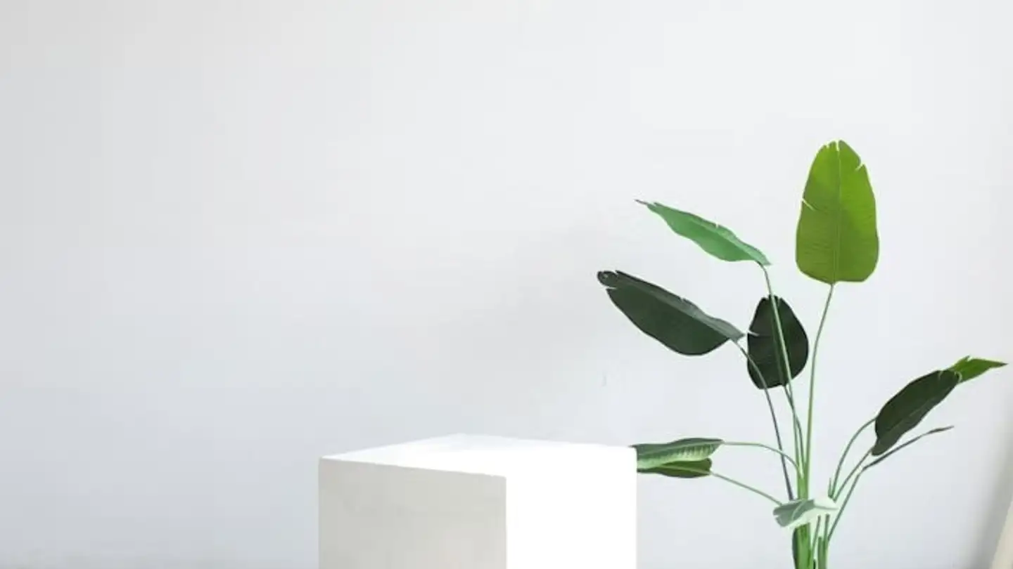 Chambre à louer - Via Odescalchi 17, 6830 Chiasso