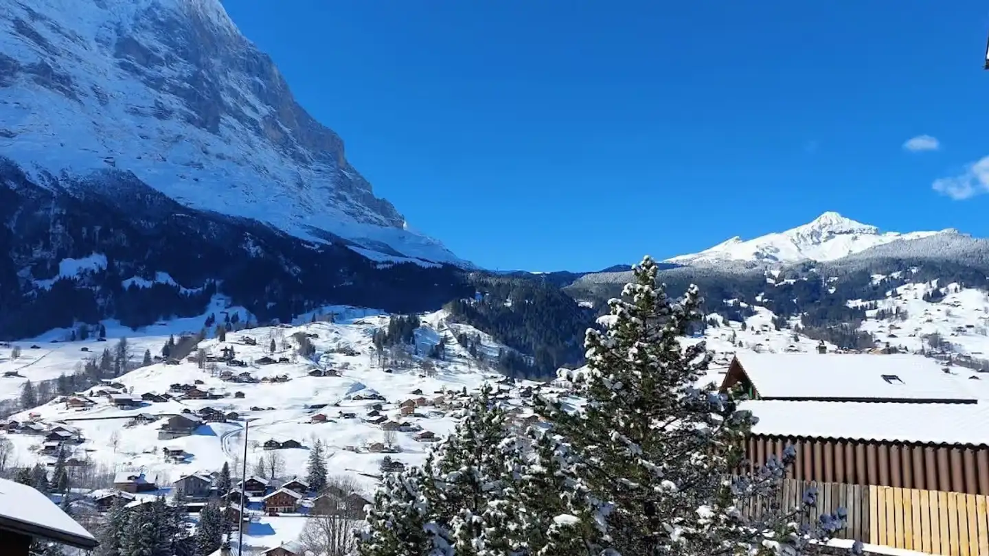 Möblierte Wohnung kaufen - Dorfstrasse 45, 3818 Grindelwald - Foto 3