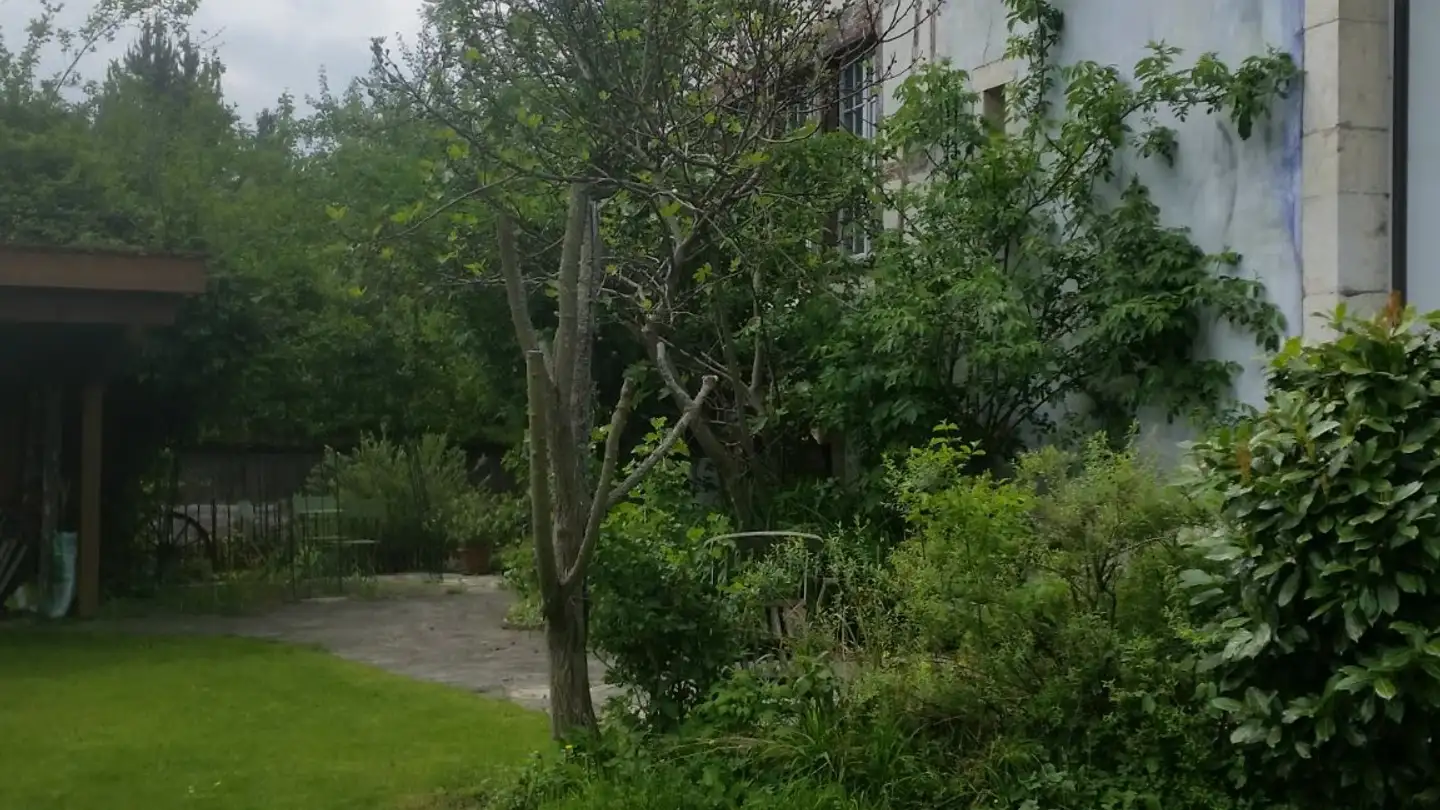 Appartamento in affitto - Böcklinsgasse 3, 3235 Erlach - Foto 3