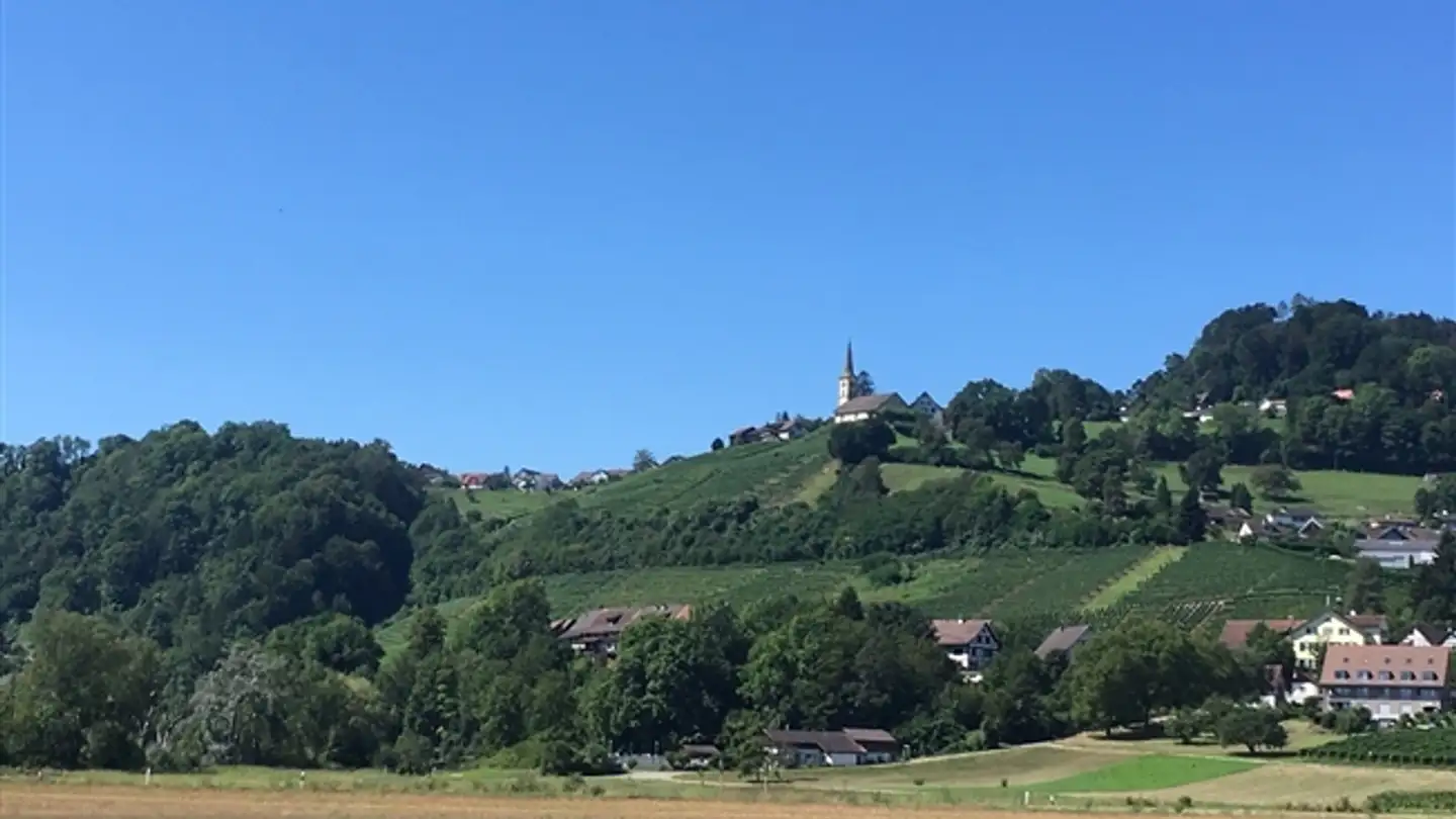 Appartamento in affitto - Seglerweg 2, 8454 Buchberg - Foto 3