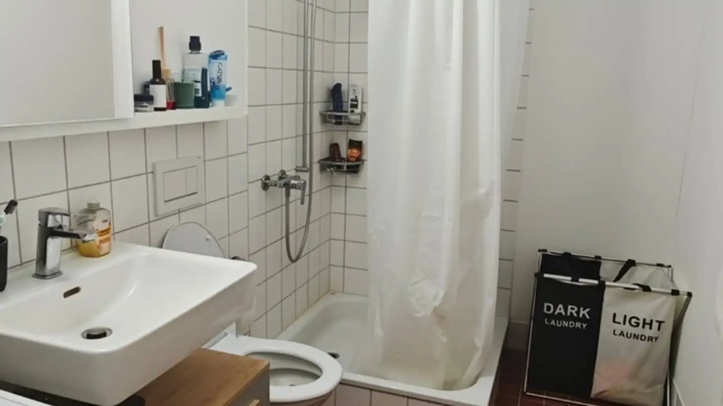 Appartement à louer - Buchwiesen 50, 8052 Zürich