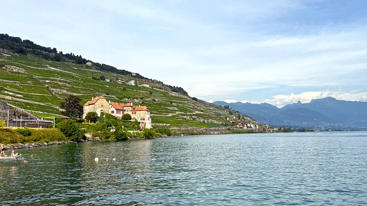 Appartamento in vendita - 1071 Rivaz - Photo 3