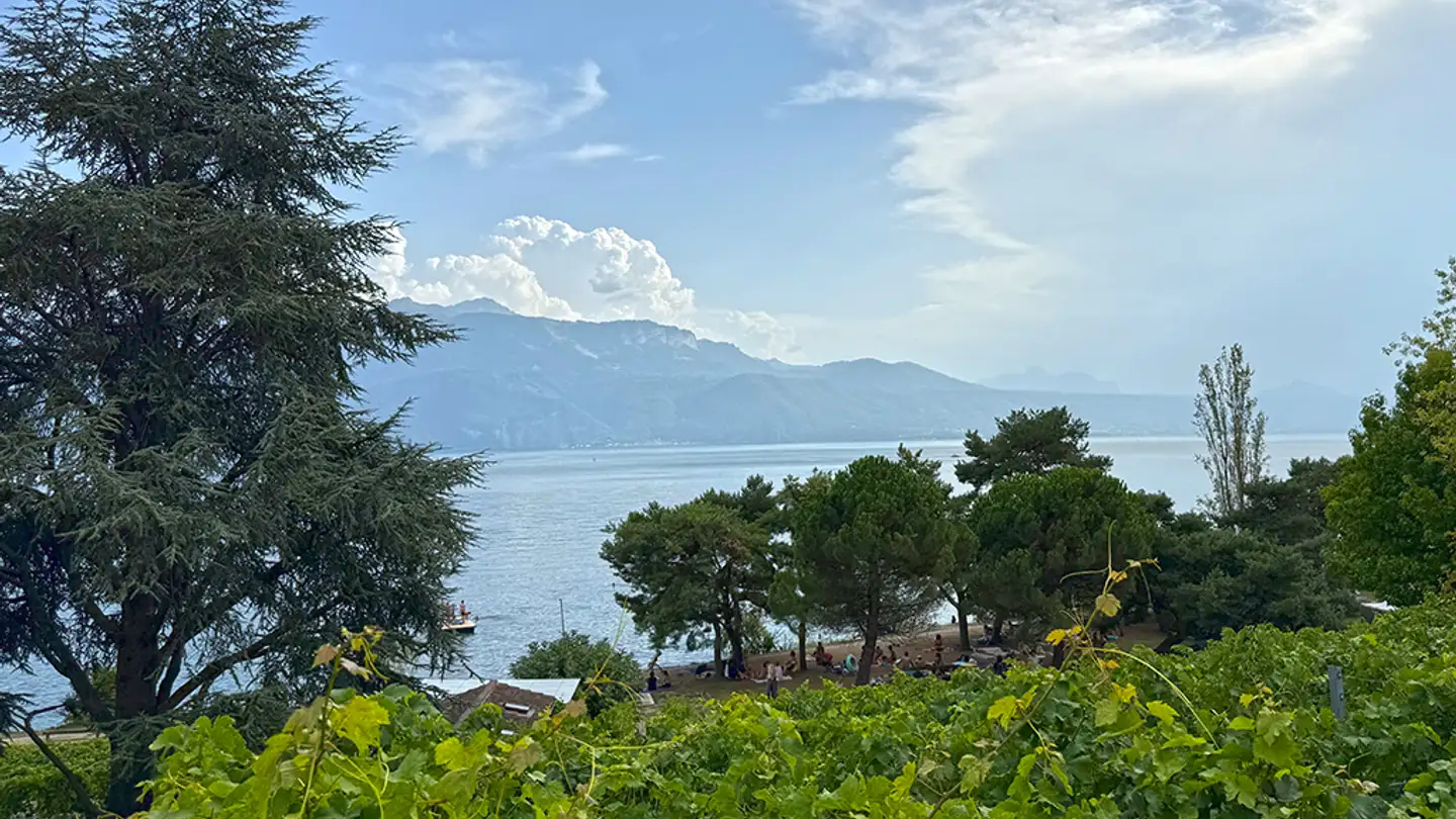 Appartamento in vendita - 1071 Rivaz - Photo 4