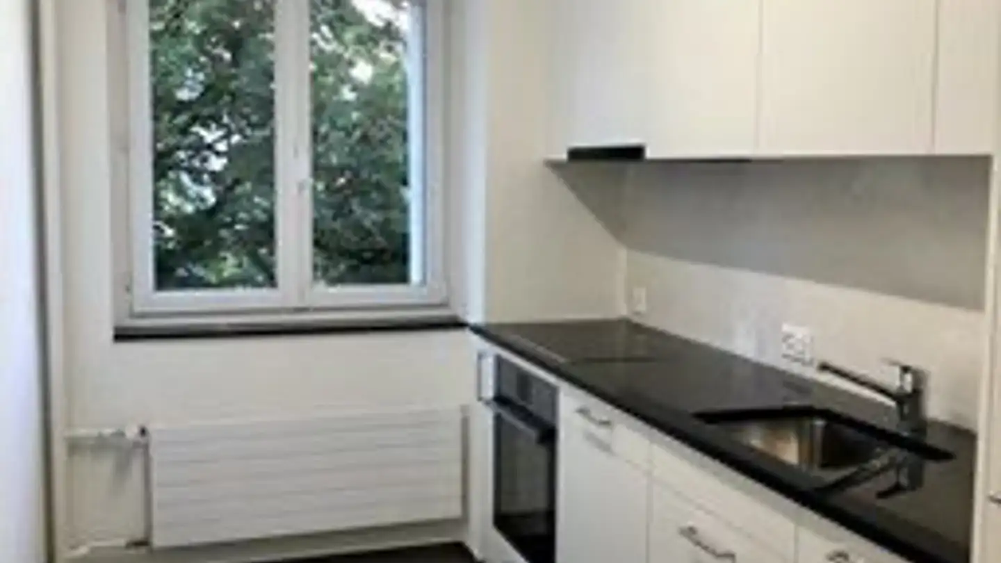 Chambre à louer - Luchswiesenstrasse 156, 8051 Zürich - Photo 3