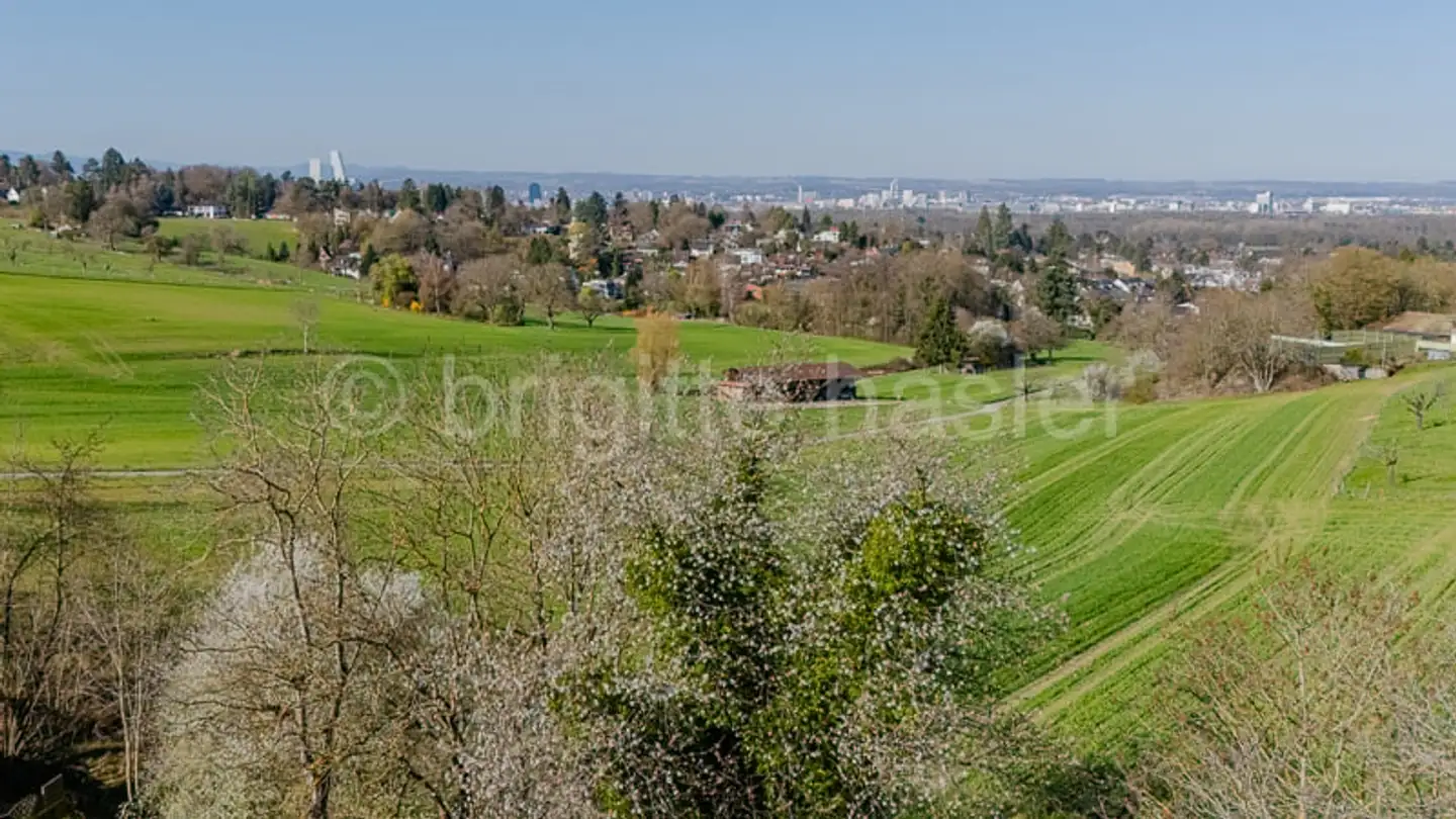 Einfamilienhaus kaufen - Chrischonaweg 153, 4125 Riehen - Foto 3
