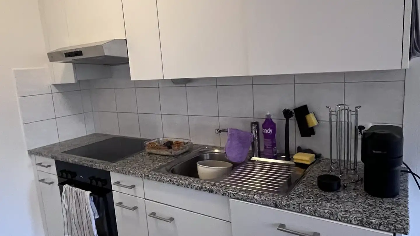 Appartement à louer - Rietstrasse 84, 8640 Rapperswil SG - Photo 3