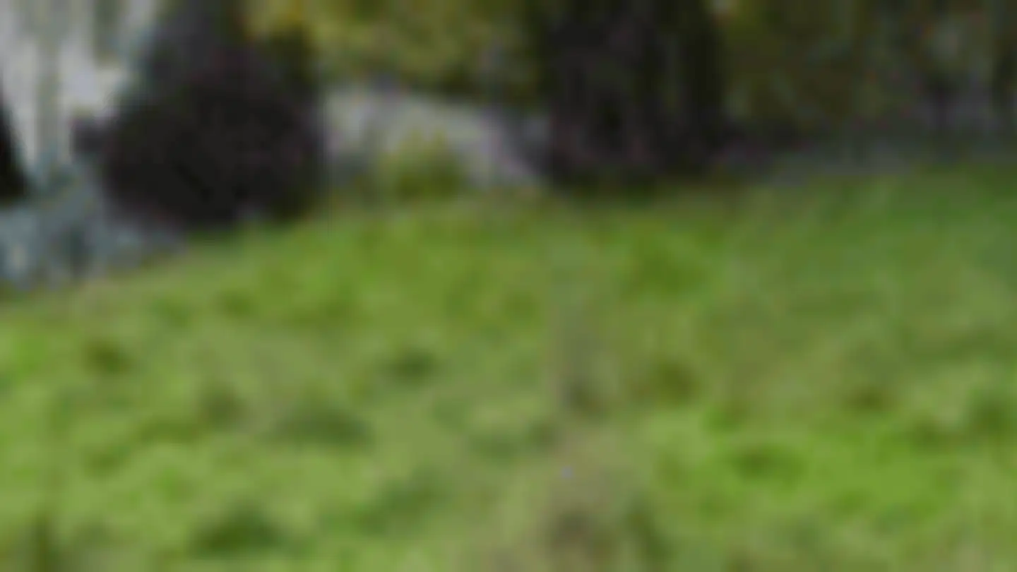 Villa in vendita - Chemin Des Crêtes 10, 1815 Clarens - Photo 2