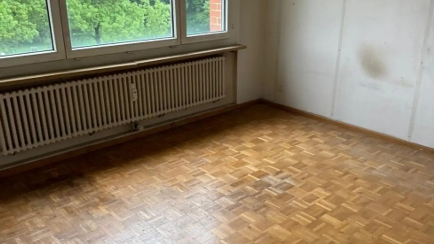 Appartamento in affitto - Holeeholzweg 67, 4102 Binningen - Photo 3