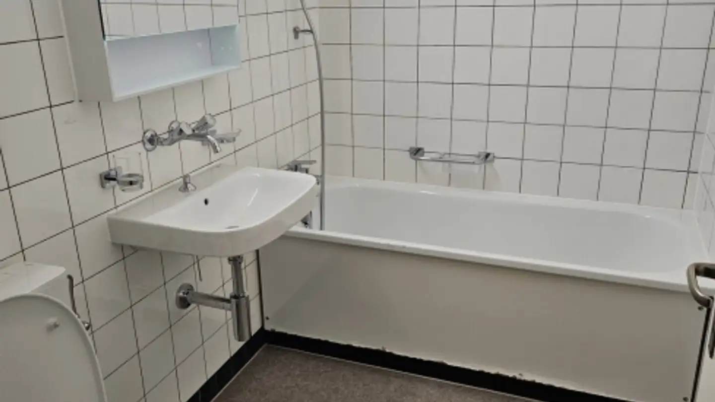 Appartamento in affitto - Holeeholzweg 67, 4102 Binningen - Photo 4