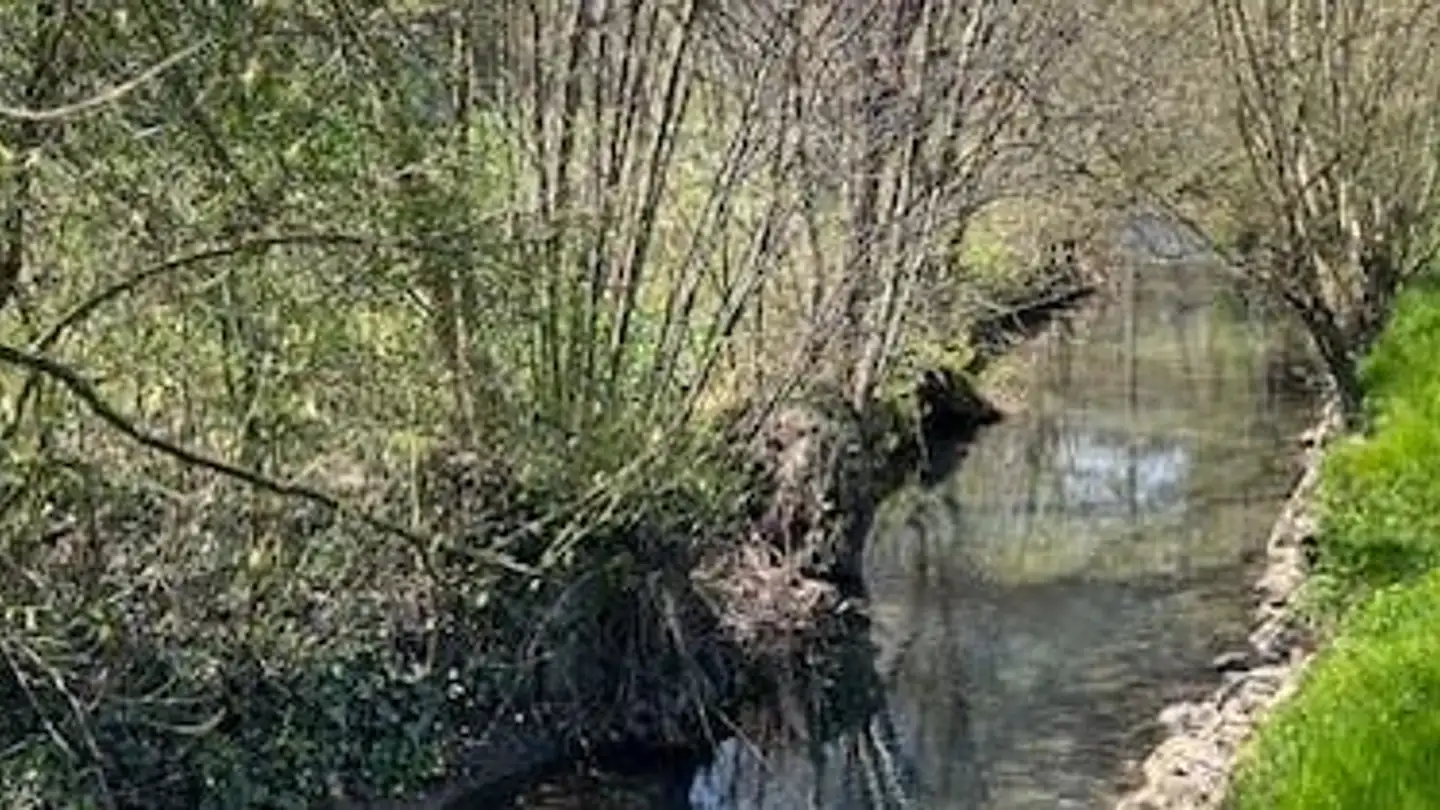 Einfamilienhaus kaufen - Jensstrasse 9, 2557 Studen BE - Foto 3