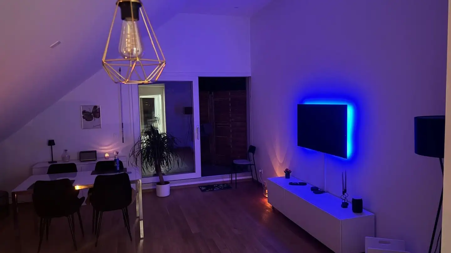 Furnished apartment for rent - Lachenstrasse 1, 4056 Basel