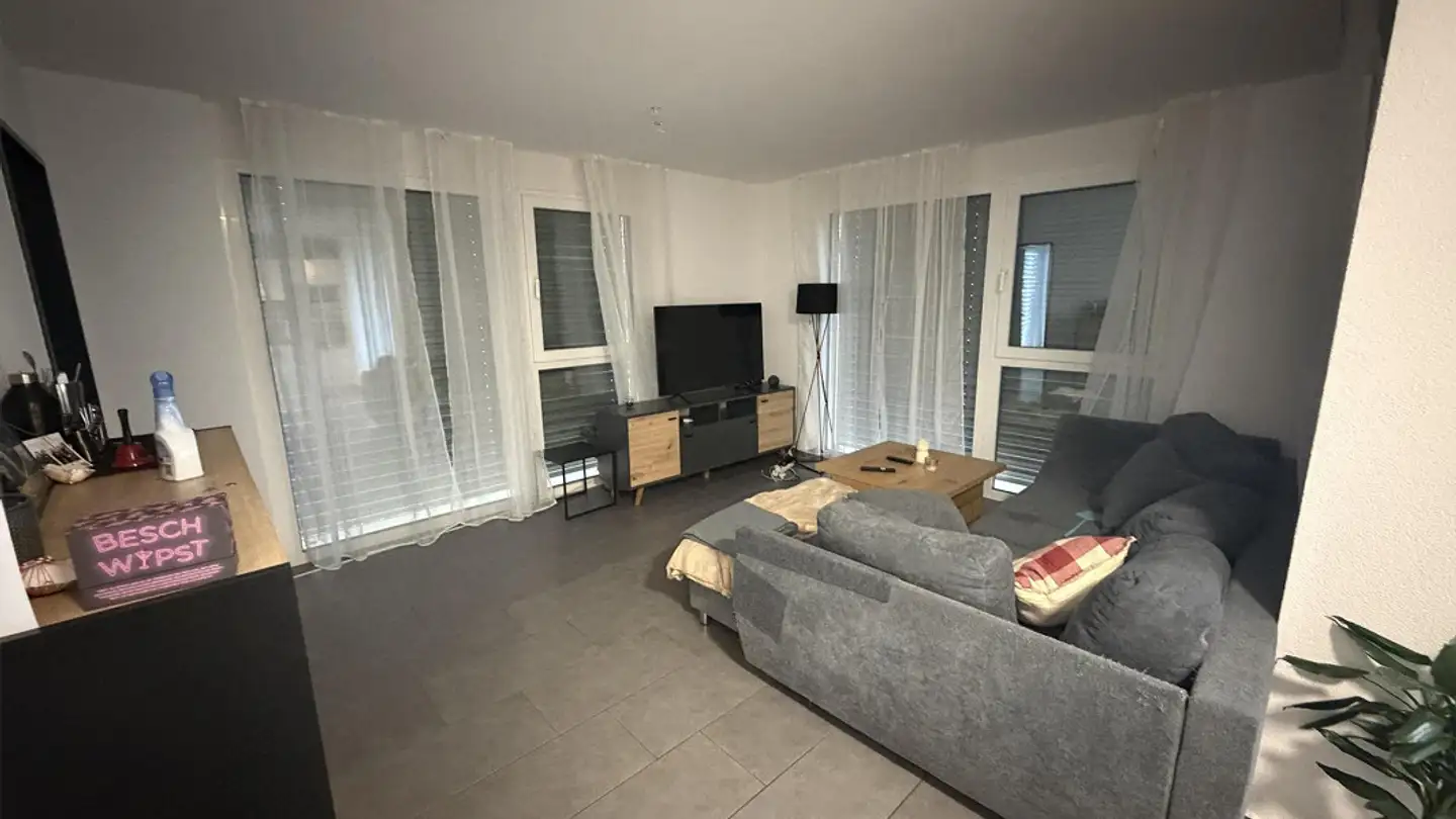 Appartamento in affitto - Rheingasse 2, 9430 St. Margrethen SG - Foto 2