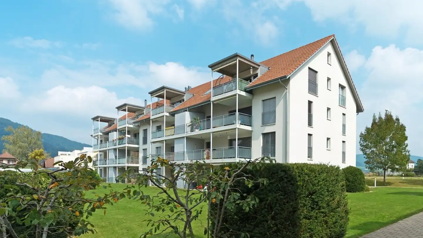 Wohnung mieten - Natternweg 3, 4852 Rothrist