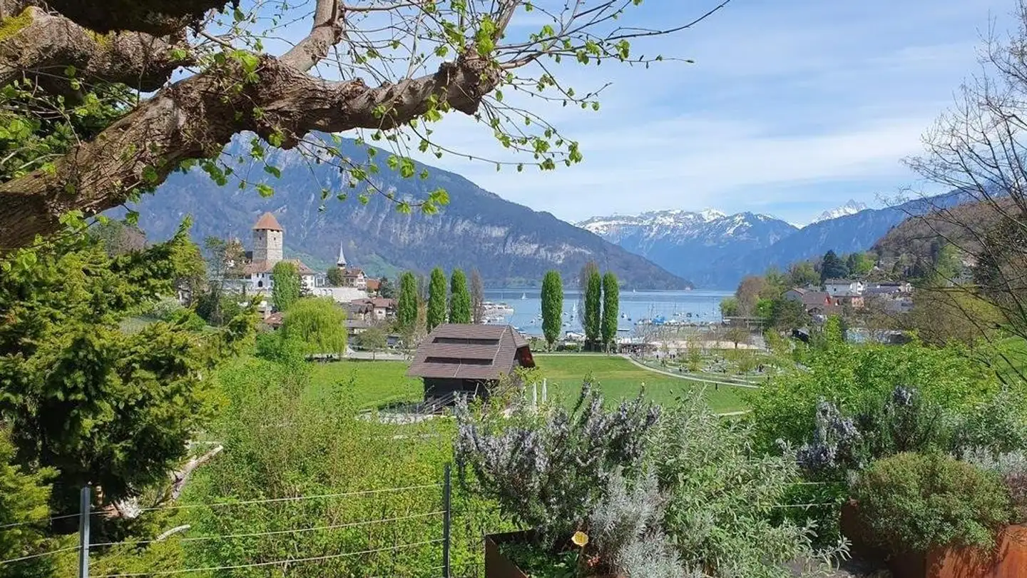 Wohnung mieten - Mühlegässli 18, 3700 Spiez