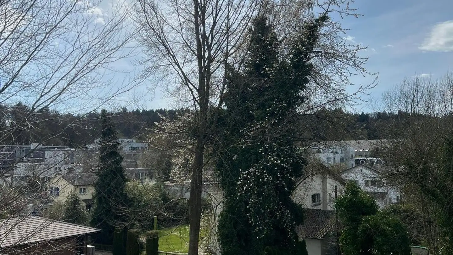 Dachgeschosswohnung mieten - Hombergstrasse 16, 5000 Aarau - Foto 3