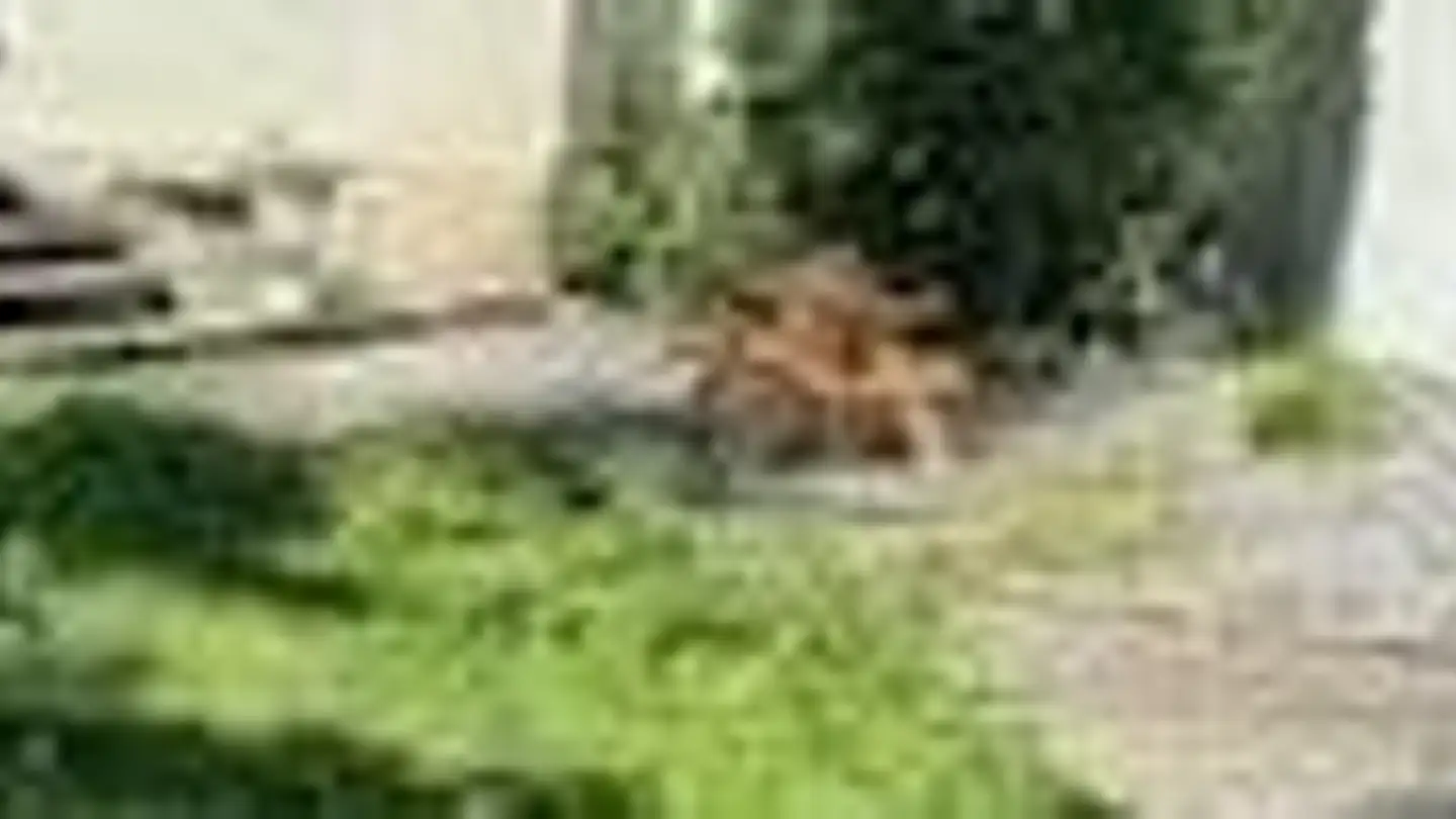 Appartamento in affitto - Gewerbestrasse 17, 5312 Döttingen - Photo 2