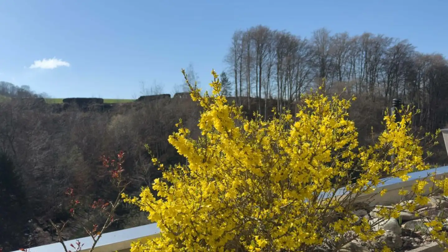 Apartment for sale - Unterer Rainweg 26c, 3068 Utzigen - Photo 3