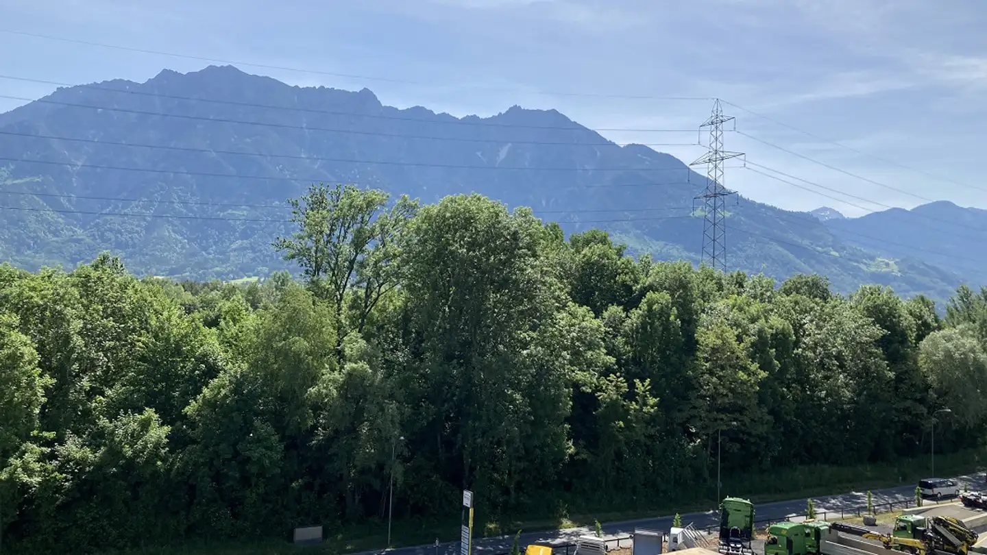 Commercial for rent - Langäulistrasse 9, 9470 Buchs SG - Photo 4