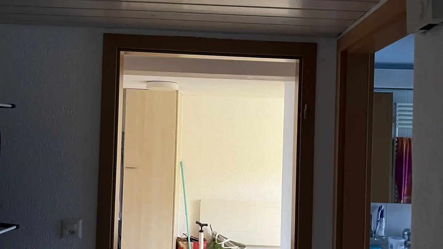 Appartamento in affitto - Alte Landstrasse 8, 8580 Hefenhofen - Foto 3