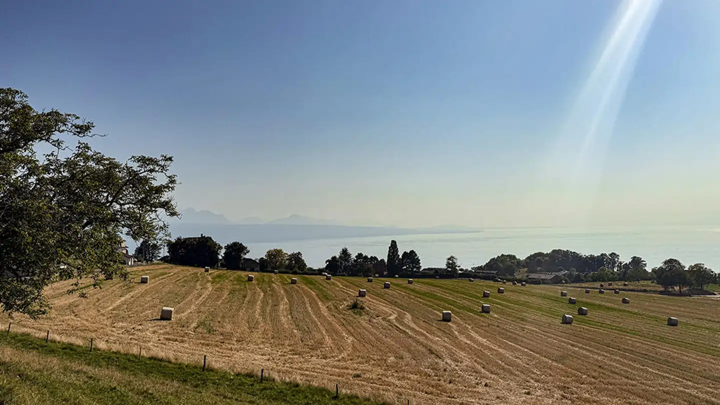 Maisonette kaufen - 1091 Grandvaux - Foto 2