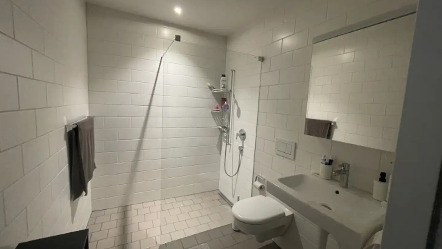 Appartamento in affitto - 8041 Zürich - Photo 4